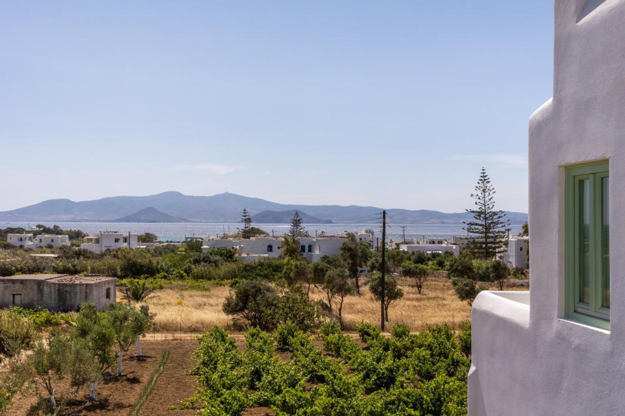 Vino Luxury Apartment Agia Anna (Naxos)
