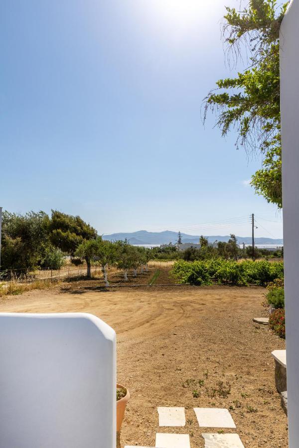 Vino Luxury Daire